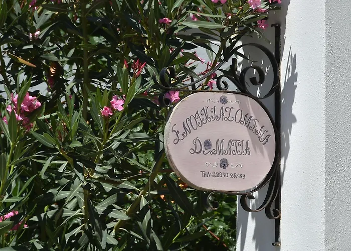 πικροδάφνες 3* Tínos