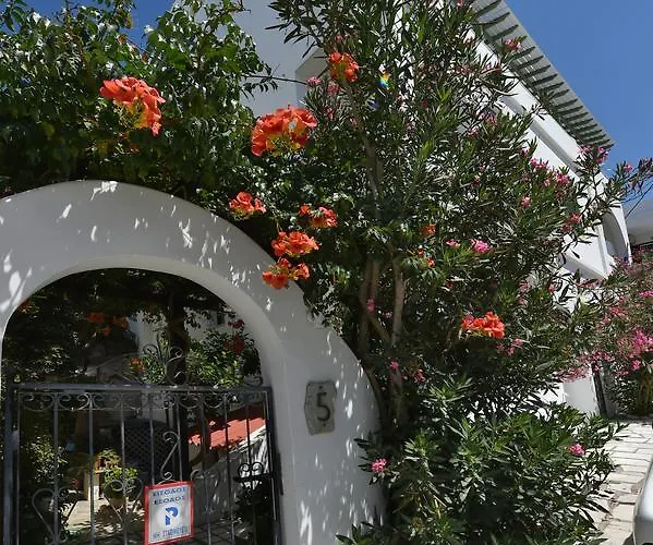 πικροδάφνες Pensión Tínos